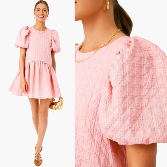NEW English Factory Dress Pink Penelope Puff Sleeve‎ Drop Waist Mini Dress Sz XS - Picture 5 of 9